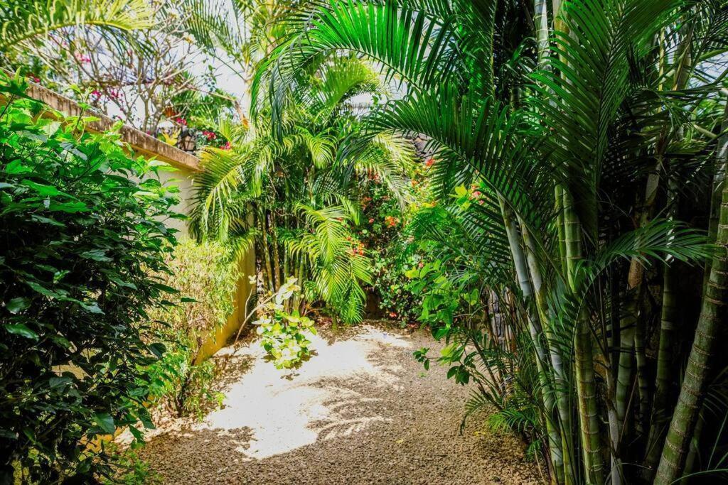 Tropicale Balinaise Intimiste
